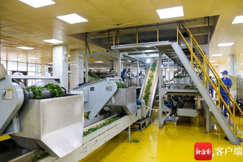 堅持創(chuàng)新驅(qū)動 白沙兩企業(yè)入選省科技型中小企業(yè)名單