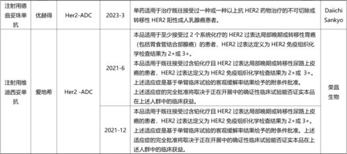 盤點(diǎn)國(guó)內(nèi)已上市ADC與雙抗藥物全景圖及國(guó)內(nèi)貿(mào)易代理格局